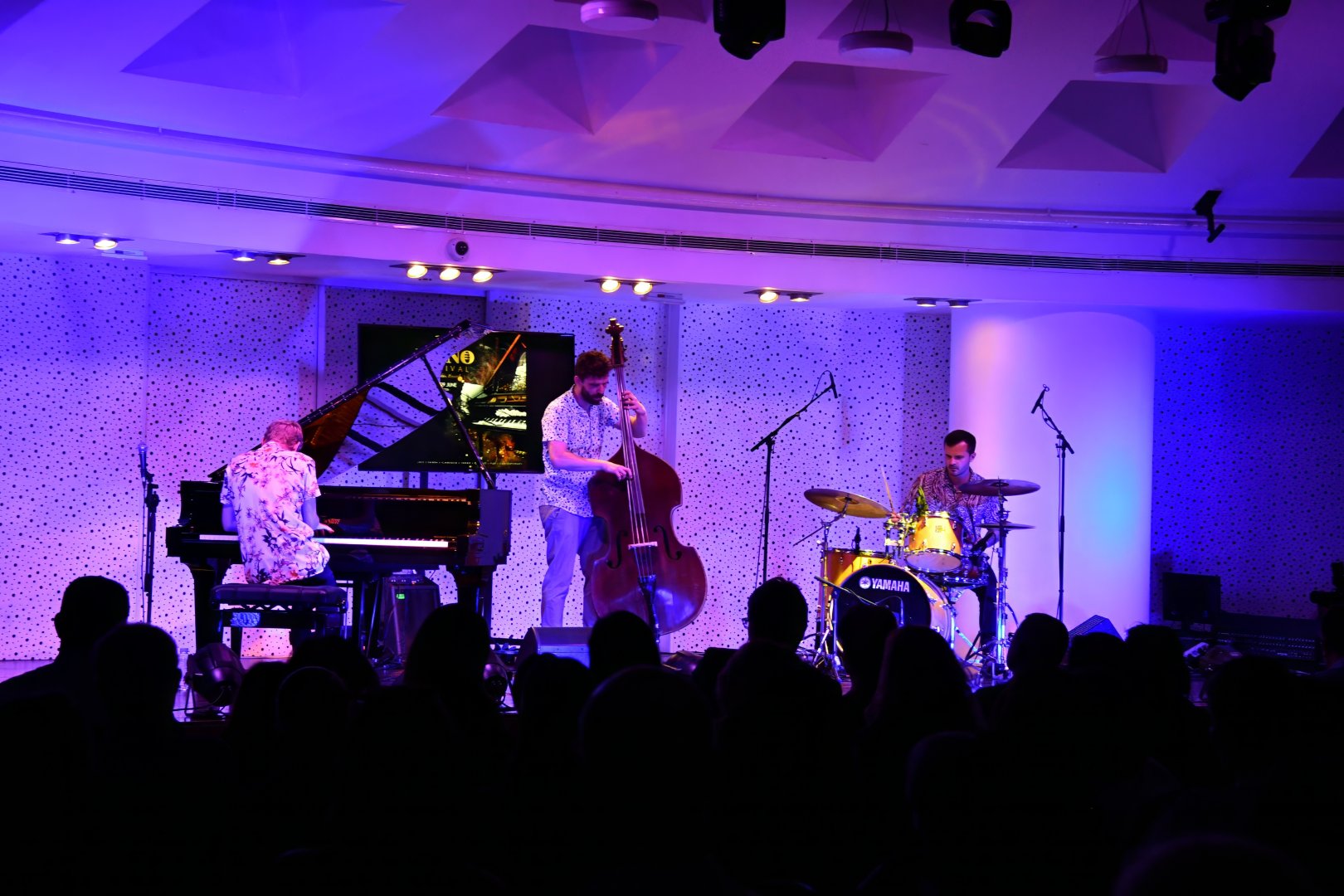 Эмоциональные мотивы Австрии в неоновом свете в Баку (ВИДЕО, ФОТО)