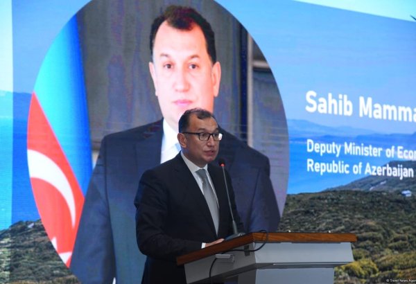 Государственно-частное партнерство поможет продвижению ESG и климатических целей - Сахиб Мамедов