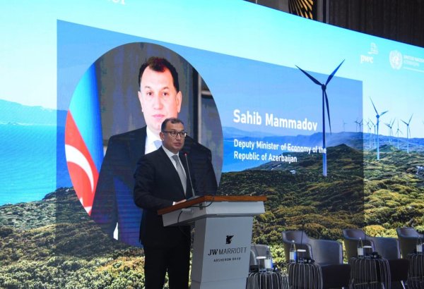 Замминистра экономики об отчетах Азербайджана и важности ESG