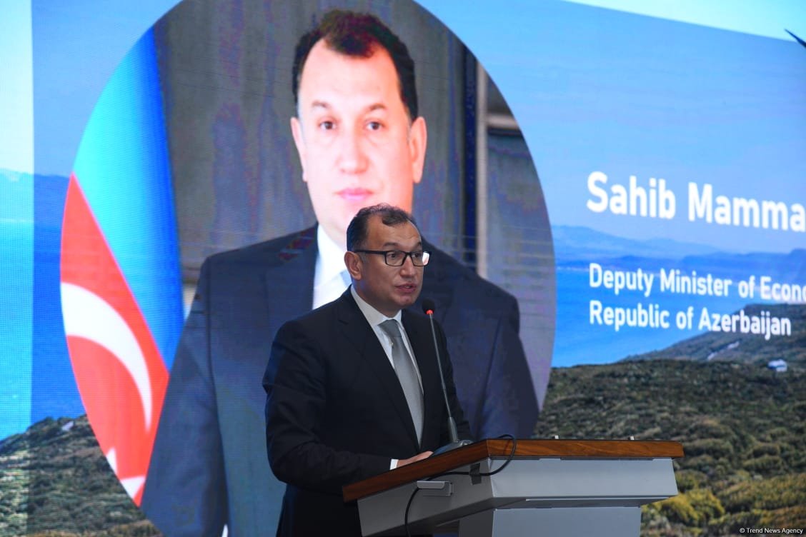 Государственно-частное партнерство поможет продвижению ESG и климатических целей - Сахиб Мамедов