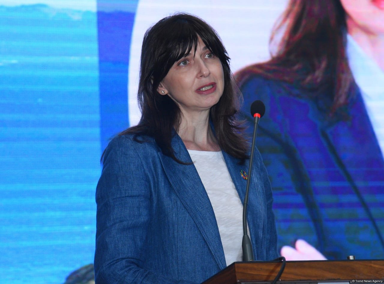 Резидент-координатор ООН о важности ESG-стандартов в Азербайджане