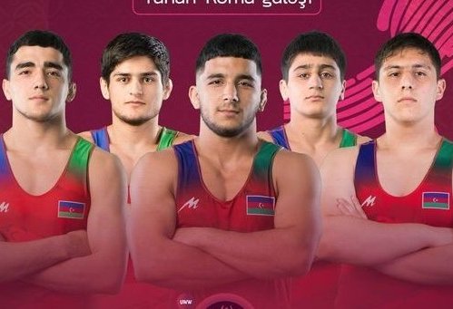 Азербайджанские борцы греко-римского стиля завоевали три медали