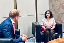 Азербайджан обладает значительным потенциалом для развития возобновляемой и "зеленой" энергетики - Boston Consulting Group (Эксклюзивное интервью) (ФОТО/ВИДЕО)