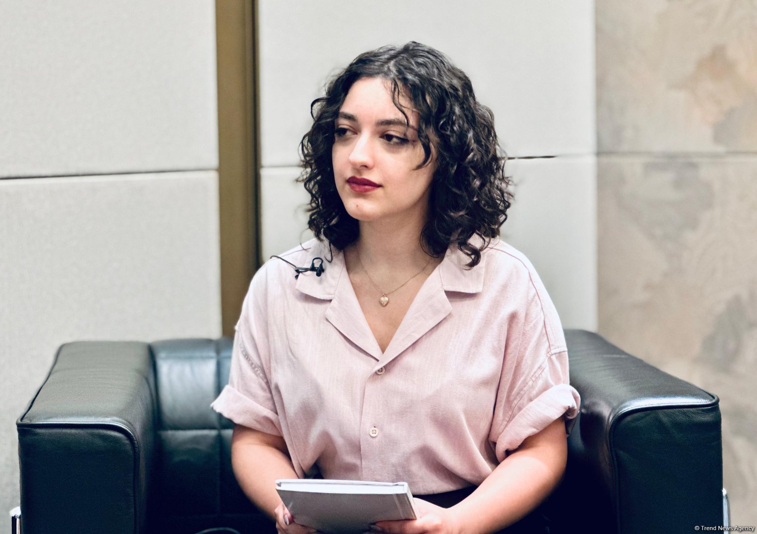 Азербайджан обладает значительным потенциалом для развития возобновляемой и "зеленой" энергетики - Boston Consulting Group (Эксклюзивное интервью) (ФОТО/ВИДЕО)