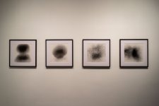 Аида Махмудова приняла участие в открытии возобновившей свою деятельность галереи YAY (ФОТО)