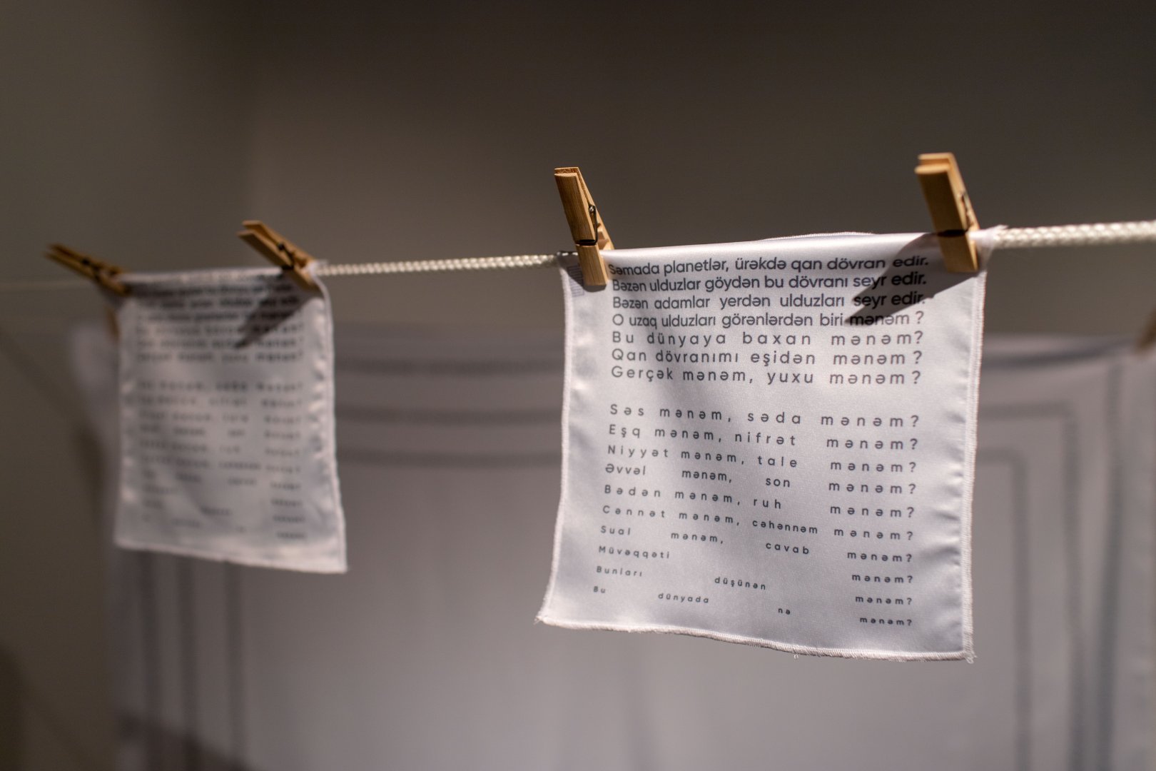 Аида Махмудова приняла участие в открытии возобновившей свою деятельность галереи YAY (ФОТО)