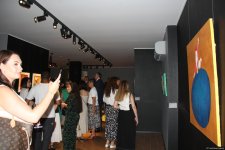 В Баку  открылась оригинальная экспозиция художницы из Грузии Барбары Асламази (ФОТО)