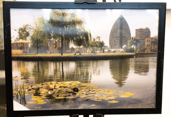 Баку. Море. Лето. (ФОТО)