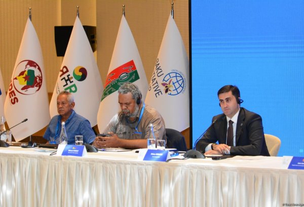 Члены движений за независимость незаконно арестованы французской полицией - Аббас Аббасов