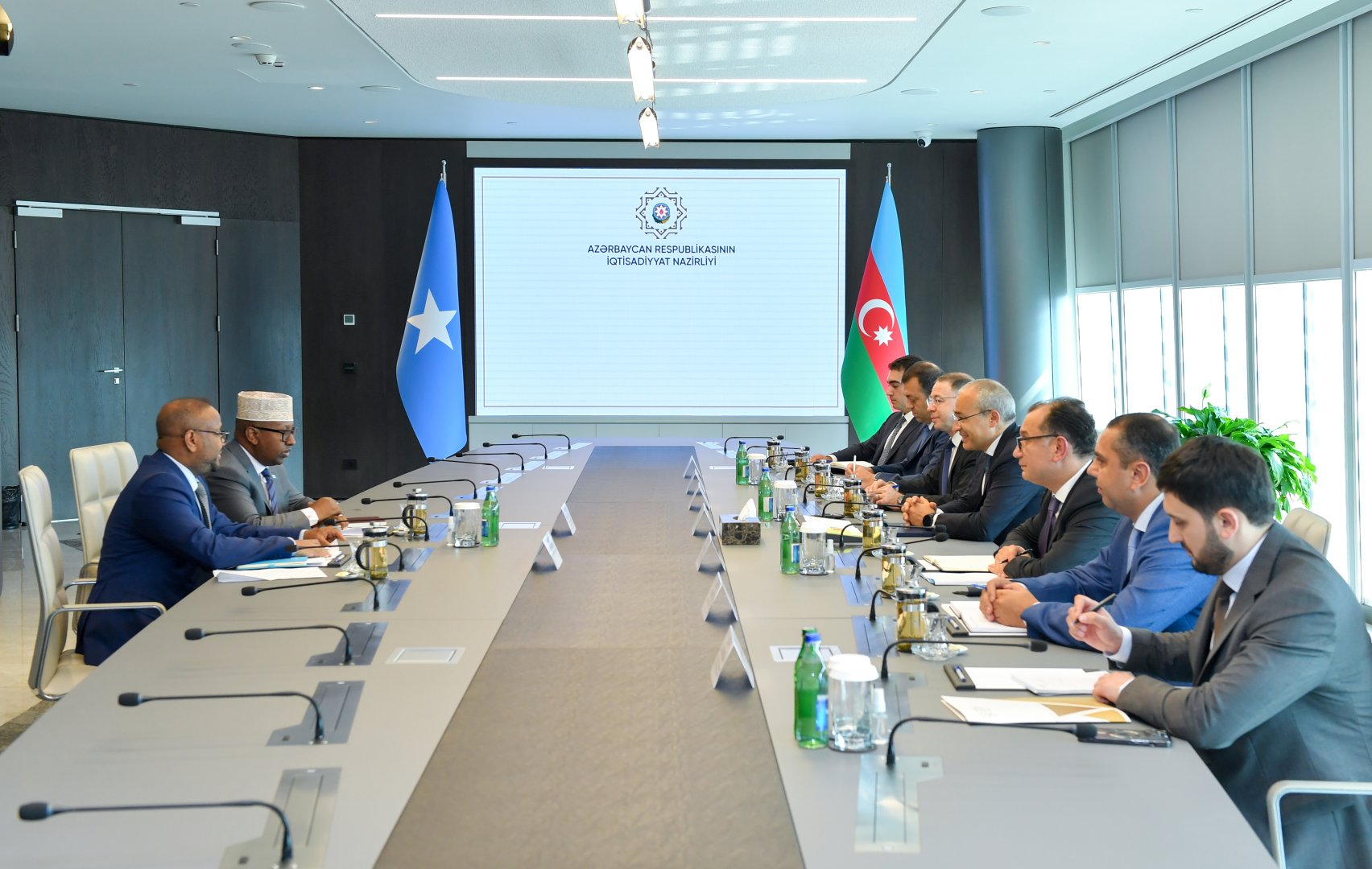 Обсуждены возможности партнерства в сфере энергетики между Азербайджаном и Сомали  (ФОТО)