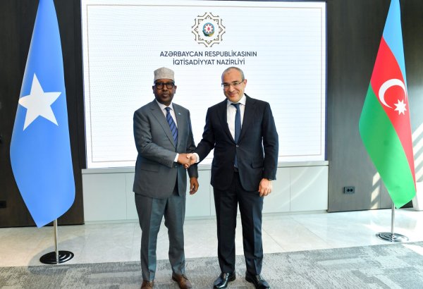 Обсуждены возможности партнерства в сфере энергетики между Азербайджаном и Сомали  (ФОТО)