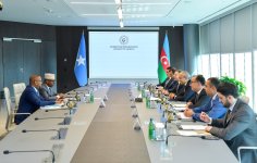 Обсуждены возможности партнерства в сфере энергетики между Азербайджаном и Сомали  (ФОТО)