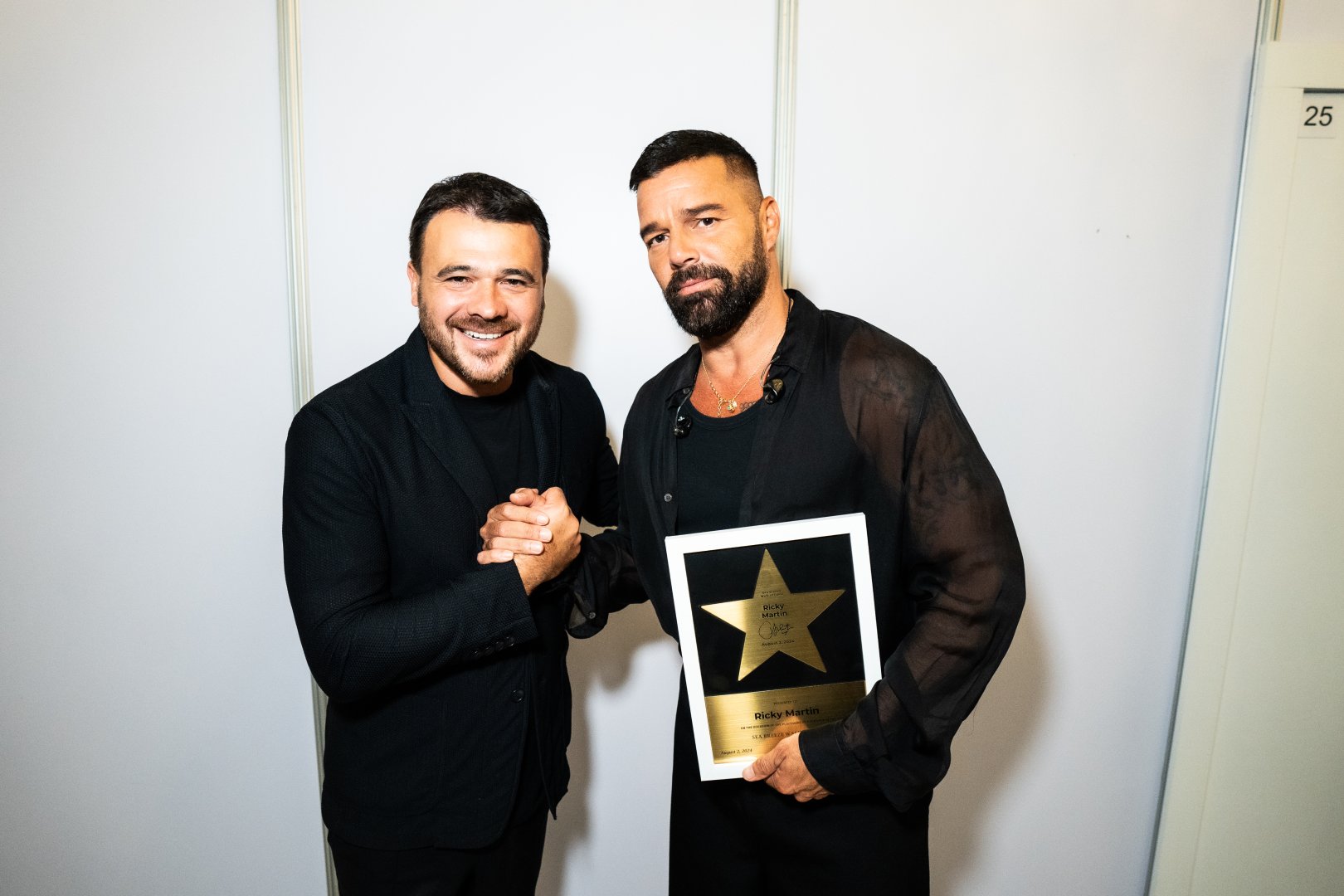 На берегу Каспия в Баку выступил Рики Мартин с зажигательным концертом (ВИДЕО, ФОТО)