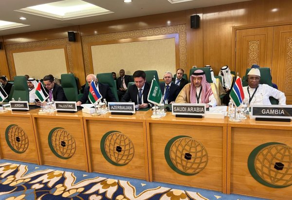 Замглавы МИД Азербайджана принял участие в заседании Исполнительного комитета ОИС