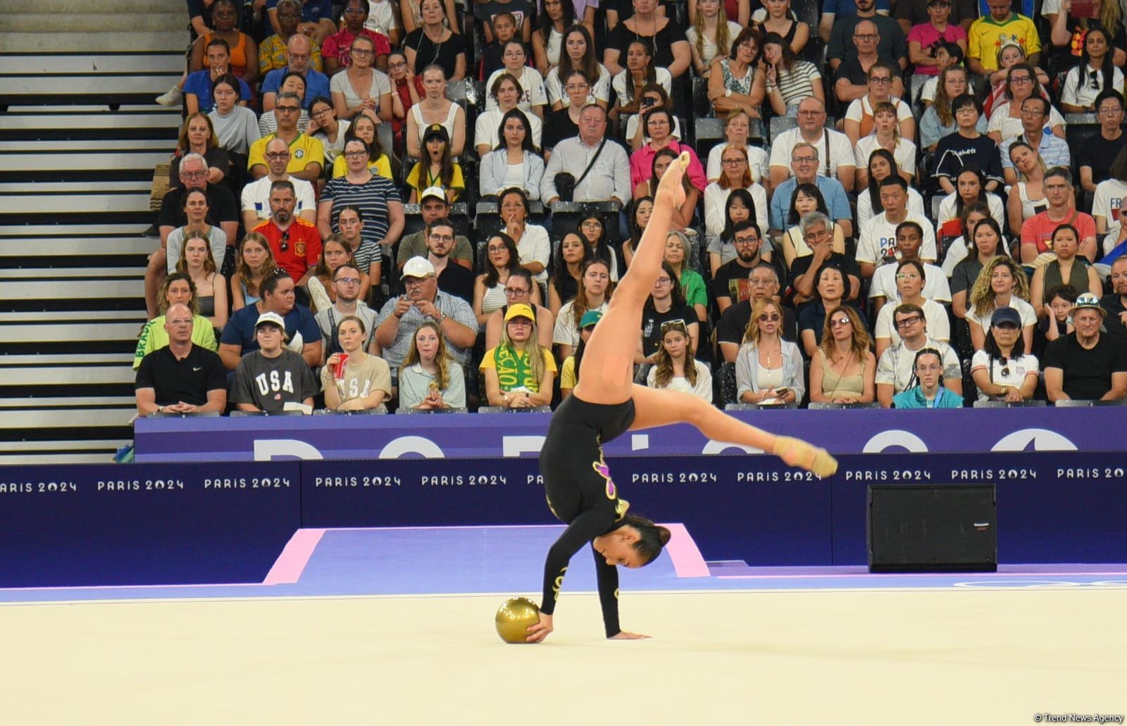 На Олимпиаде в Париже стартовали соревнования по художественной гимнастике (ФОТО)