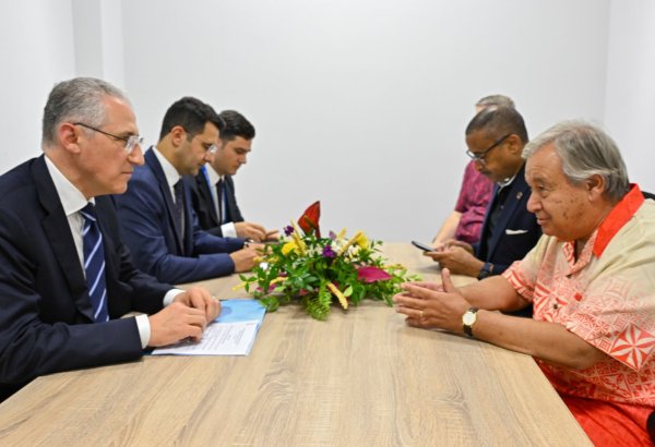 Климатические проблемы островных государств обсудили Гуттериш и Бабаев