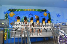 При организации Фонда Гейдара Алиева прошло мероприятие для детей шехидов (ФОТО)