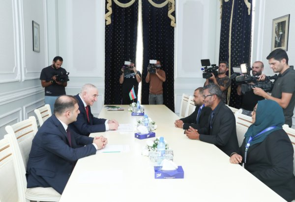 Делегация наблюдательной миссии Мальдив посетила ЦИК Азербайджана