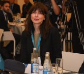 Азербайджан презентовал "Бакинскую глобальную платформу прозрачности климата" (ФОТО)