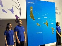 Волонтеры Бакинской инициативной группы представили флешмоб (ФОТО)