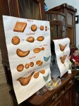 В Баку состоялась  премьера украинского мультфильма "Лиса и виноград" на азербайджанском языке (ФОТО)