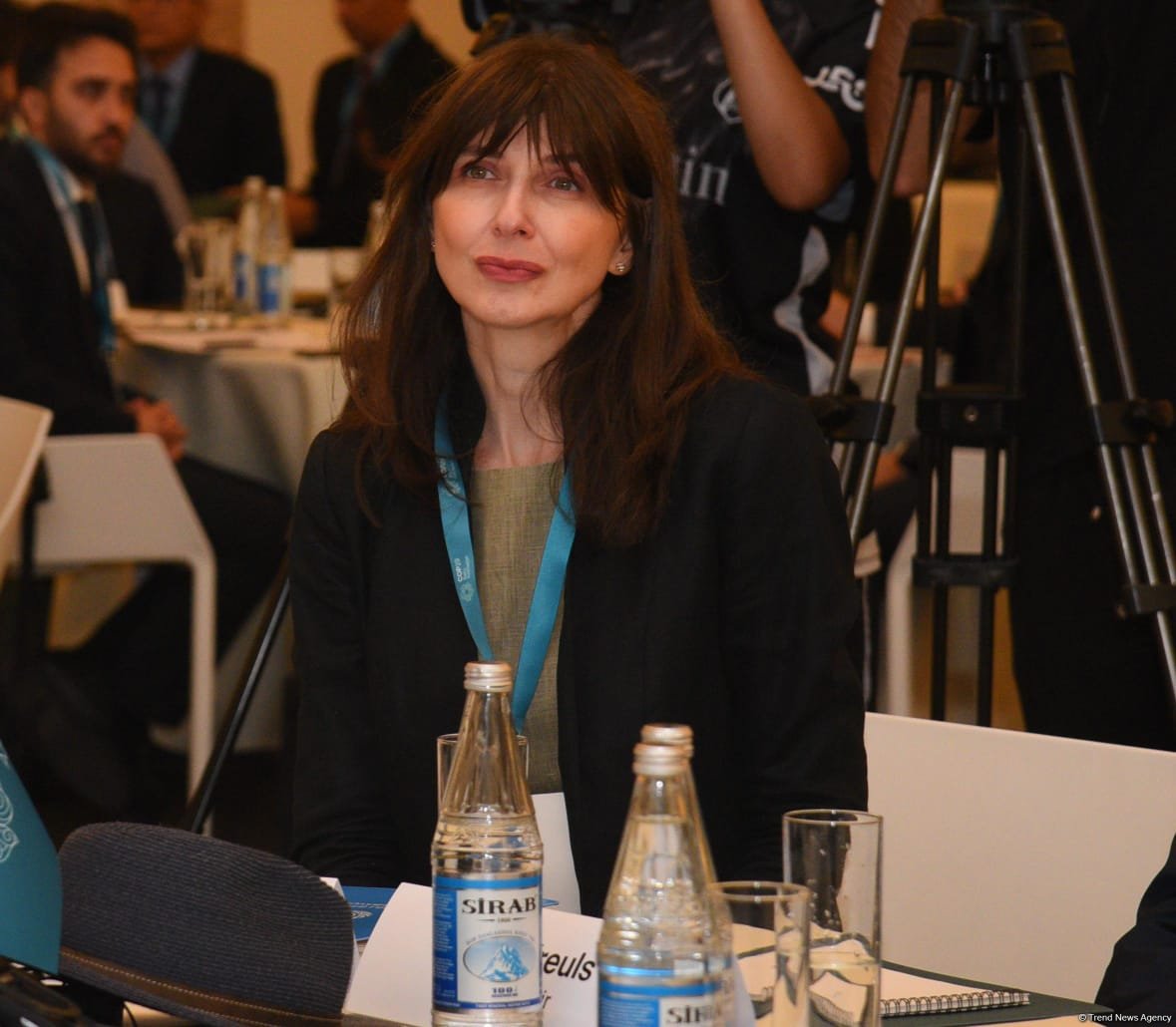 Азербайджан презентовал "Бакинскую глобальную платформу прозрачности климата" (ФОТО)