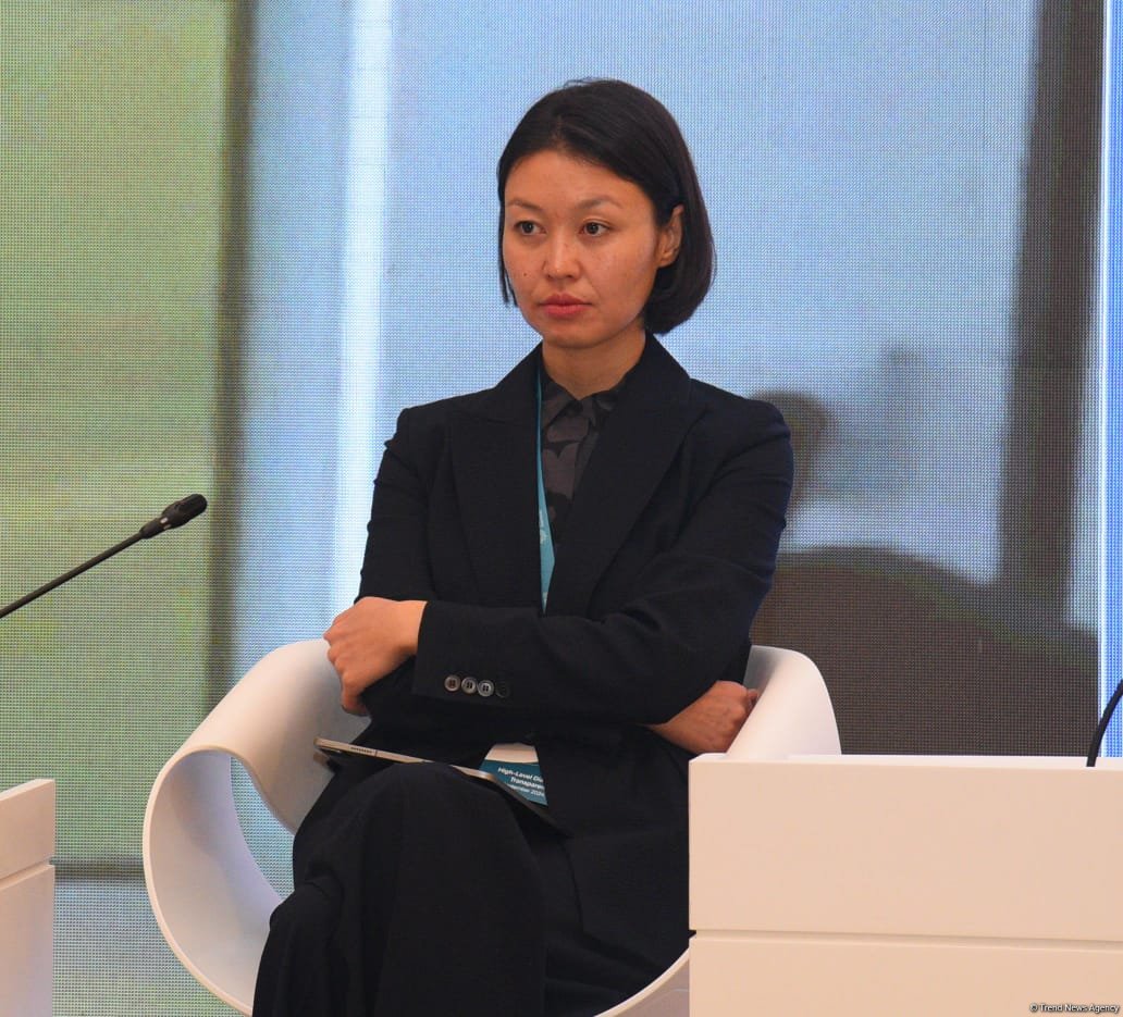 Азербайджан презентовал "Бакинскую глобальную платформу прозрачности климата" (ФОТО)