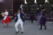 В Шамахы проходит Фестиваль винограда и вина (ФОТО/ВИДЕО)