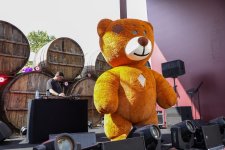 В Шамахы проходит Фестиваль винограда и вина (ФОТО/ВИДЕО)