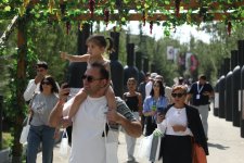 В Шамахы проходит Фестиваль винограда и вина (ФОТО/ВИДЕО)