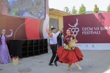 Завершился Фестиваль винограда и вина в Шамахы (ФОТО/ВИДЕО)