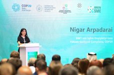 В Баку состоялась конференция «Роль малого и среднего бизнеса в зеленой экономике» (ФОТО)