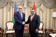 Посол Азербайджана вручил верительные грамоты Президенту Мальдив (ФОТО)
