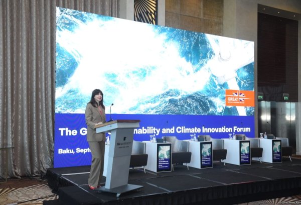 Резидент-координатор ООН в Азербайджане о действиях в транспортной сфере для снижения влияния на экологию