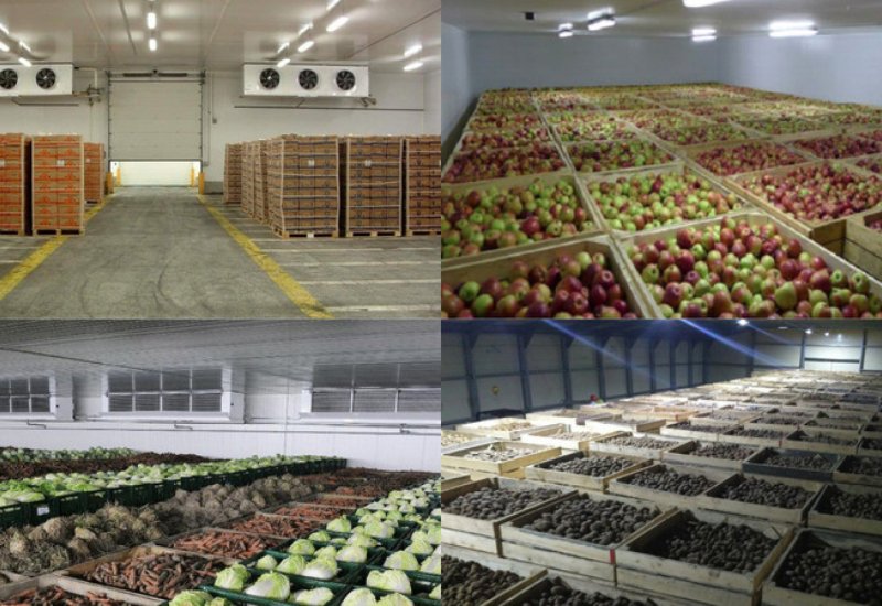 Агропромышленный сектор Кыргызстана укрепляет производственный потенциал