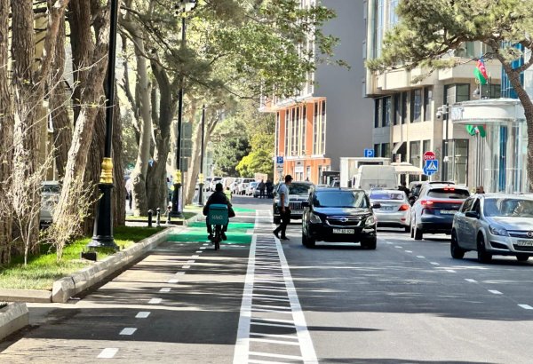 Протяженность велодорожек в Баку достигнет 100 км - Анар Рзаев