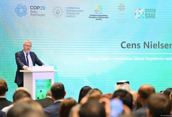 Гендиректор WCF о привлечении средств для климатического финансирования (Эксклюзив)