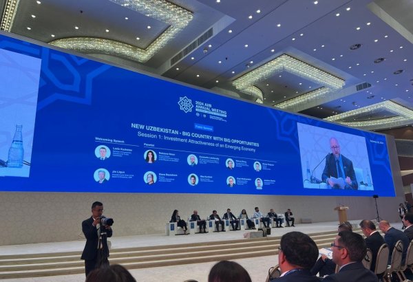 АБИИ определил приоритетные отрасли для инвестиций в Узбекистане