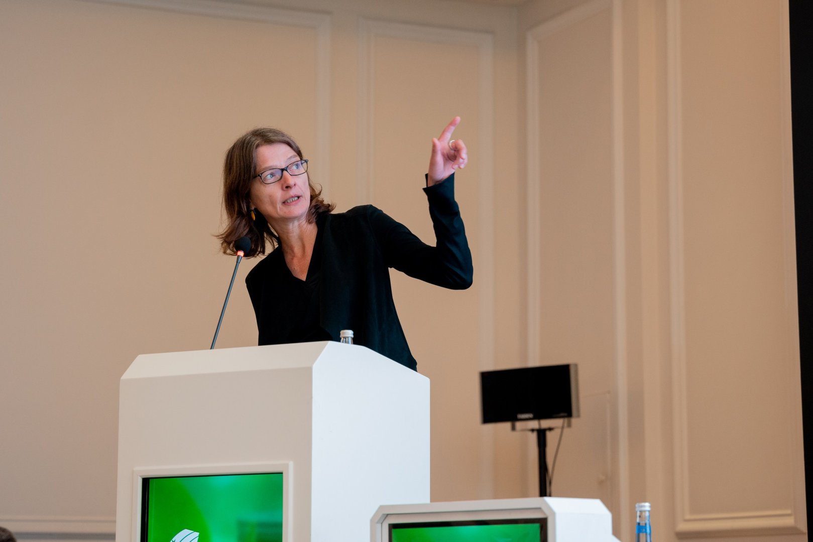 Состоялась Green Finance Conference при поддержке Yelo Bank и AmCham Азербайджан (ФОТО)