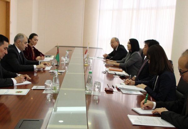 Туркменистан и Япония обсудили сотрудничество в газохимической и транспортной отраслях