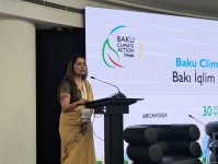 Завершился третий день "Недели действий по климату" в Баку (ФОТО) (Обновлено)