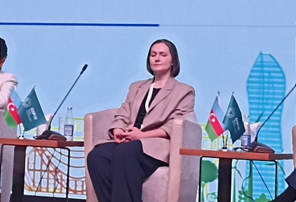 Представитель Carbon Limits о перспективах развития рынка углеродных квот (Эксклюзив)