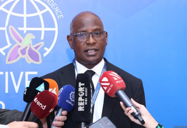 Бакинская конференция - очень хорошая платформа для борьбы с французским неоколониализмом - Брахим Рамдхане