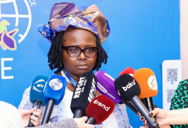 Баку - это платформа, где народы, страдающие от колонизации, могут говорить о своих проблемах - член НПО из Камеруна