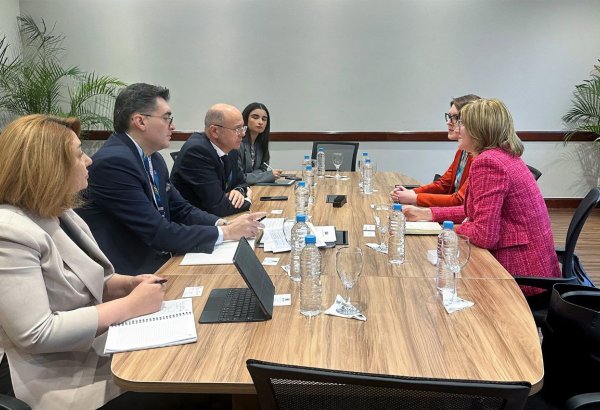 Обсуждены шаги Азербайджана по водородной энергетике (ФОТО)