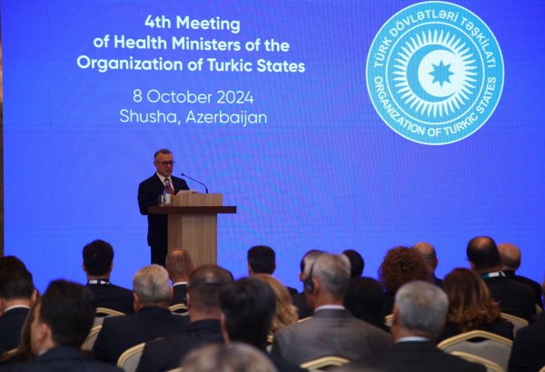 Внедрение ИКТ в здравоохранении делает возможным трансграничный обмен данными в рамках ОТГ - Теймур Мусаев