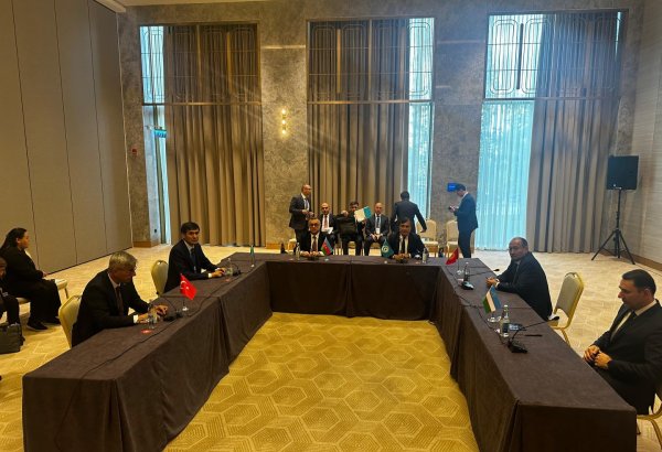 На IV заседании министров здравоохранения стран ОТГ принята Совместная декларация (ФОТО)