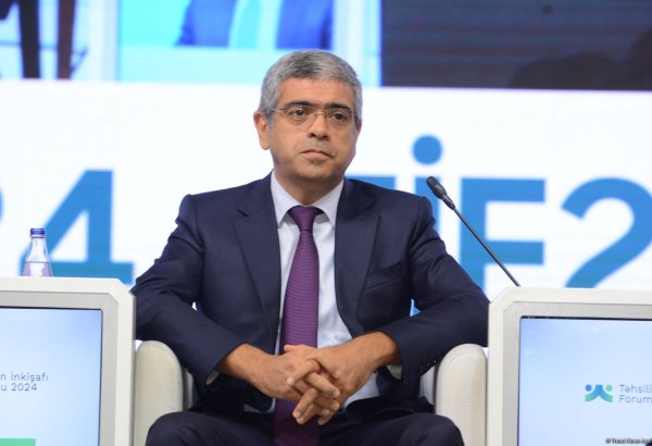 Частный сектор также должен участвовать в решении проблем, связанных с образованием и рынком труда - Анар Алиев