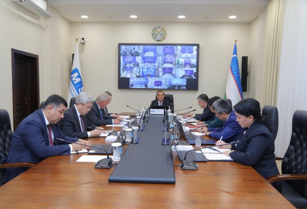 ЦИК Узбекистана принял постановление о досрочном голосовании на парламентских выборах