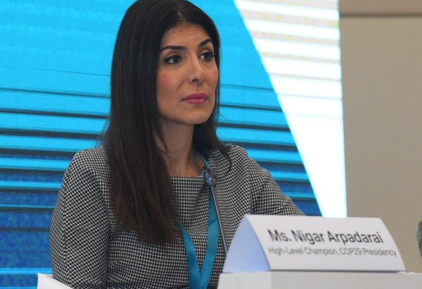 Изменение климата уже затронуло жизни миллионов людей - Нигяр Арпадараи